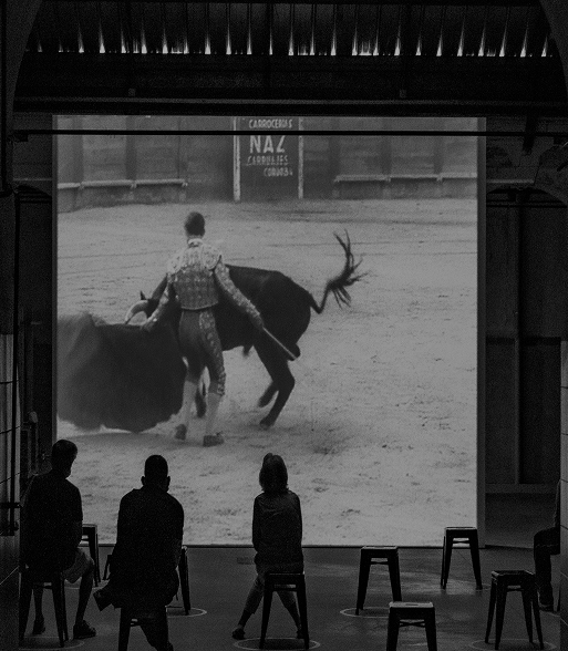 pexels-joseantoniogallego-5047844